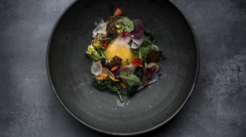 Toprestauranter dyster i dansk ost