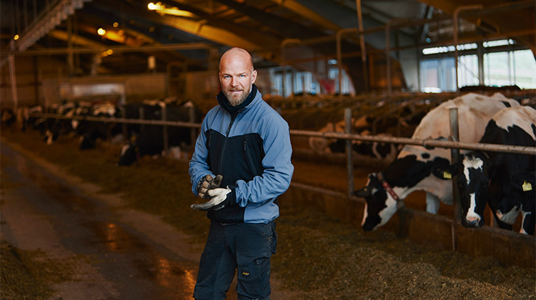Arla mælkebonde