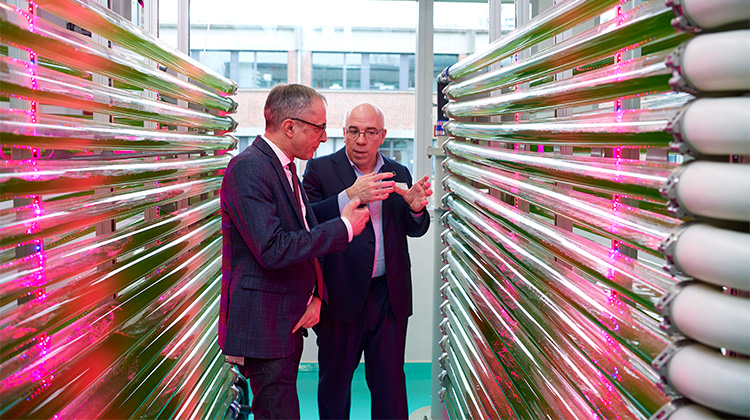 Biosolutions Technology Center er en mikroalge-reaktor