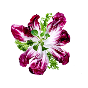 FLORETTE_1