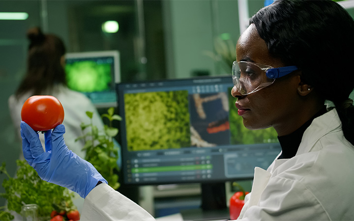 Kvinde med tomat i laboratorie-miljø