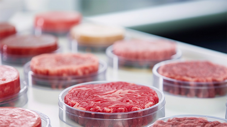 Laboratorie-kød - ai-genereret billede fra Freepik.com
